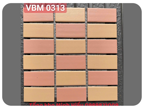 Gạch ốp cao cấp HDVBM0313